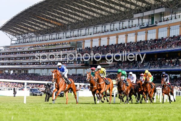 Royal Ascot 2014 