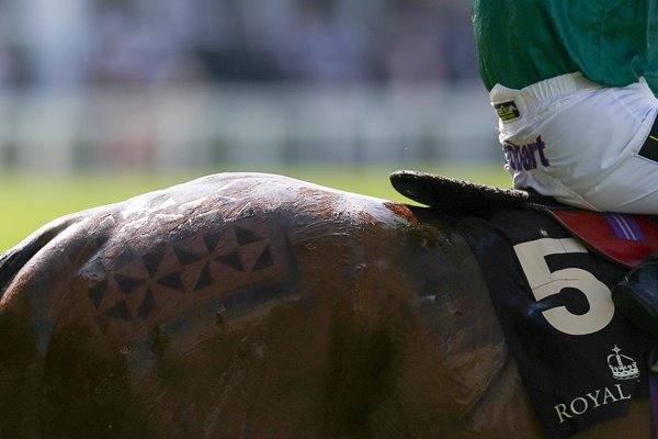 Royal Ascot 2014