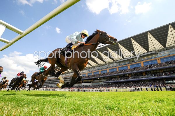 Ryan Moore & Arab Spring Edinburgh Stakes Royal Ascot 2014