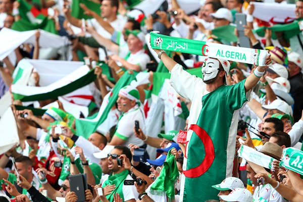 Algeria fans 2014 World Cup