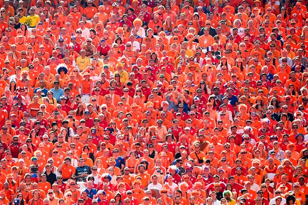 Netherlands fans 2014 World Cup