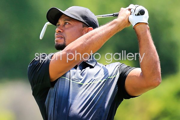 Tiger Woods Return Congressional 2014