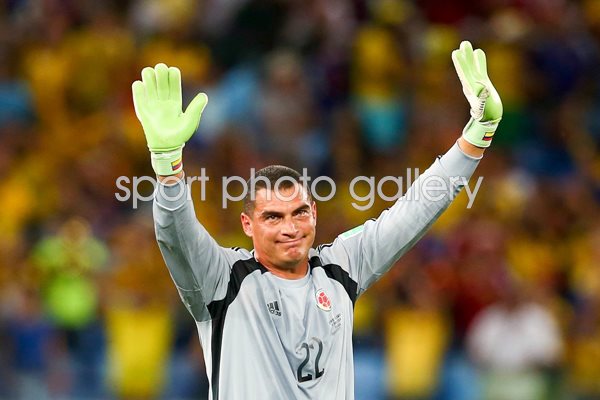 Goalkeeper Faryd Mondragon 2014 World Cup