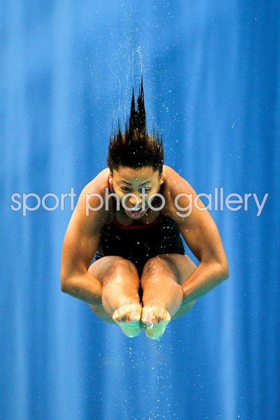 19th Commonwealth Games - Day 9: Diving