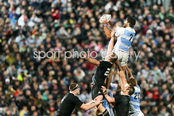 Juan Martin Fernandez Lobbe v New Zealand 2014