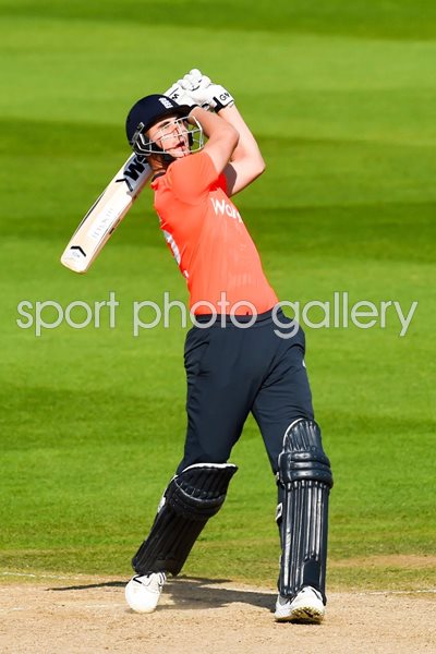 Alex Hales England v India T20 Edgbaston 2014