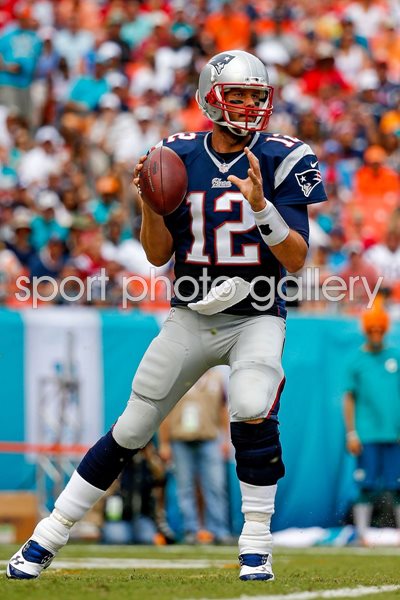 Tom Brady Miami Dolphins Florida 2014