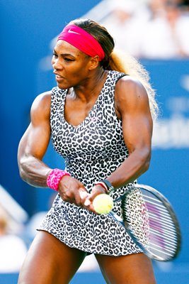 Serena Williams US Open Champion New York 2014