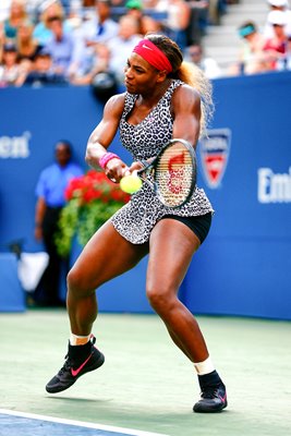 Serena Williams US Open Champion Flushing Meadows 2014