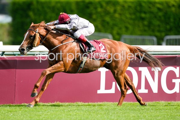 Frankie Dettori Prix de l'Arc de Triomphe 2014