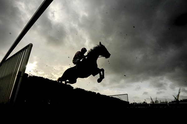  Exeter Races