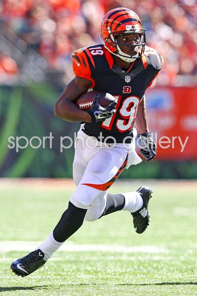  Brandon Tate Titans v Bengals