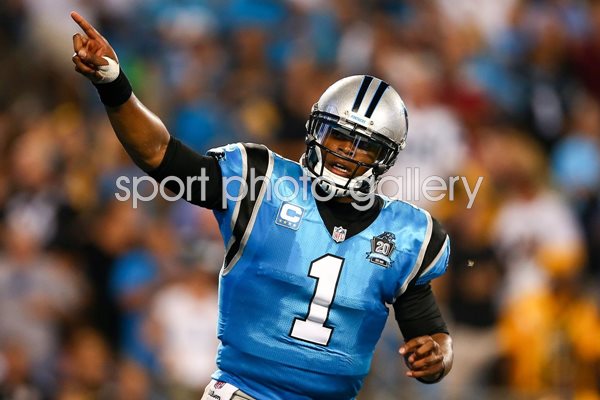 Pittsburgh Steelers v Cam Newton Carolina Panthers