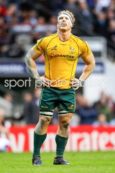 David Pocock Portrait v England