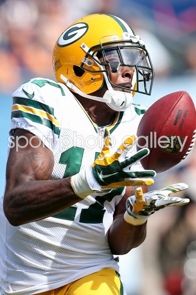 Green Bay Packers - Davante Adams 2014