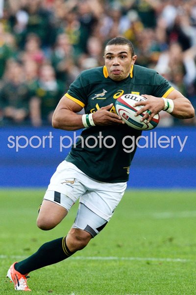 Bryan Habana New Zealand v South Africa