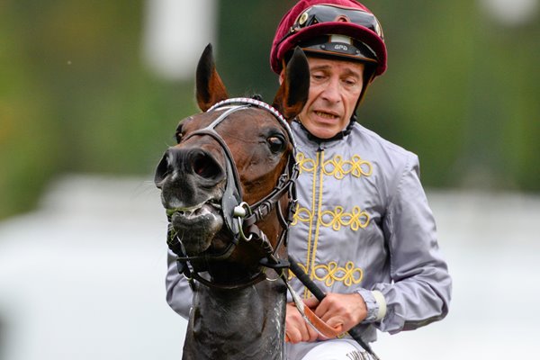 Thierry Jarnet Prix de I'Arc de Triomphe 2014