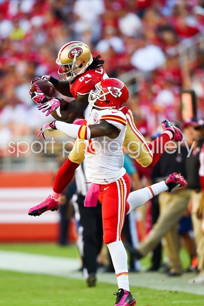 Chiefs v 49ers - Brandon Lloyd 2014