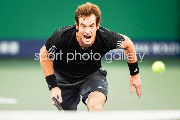 Andy Murray 2014