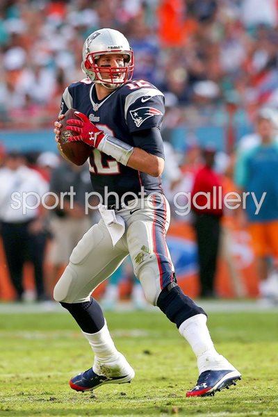 New England Patriots v Miami Dolphins 2012