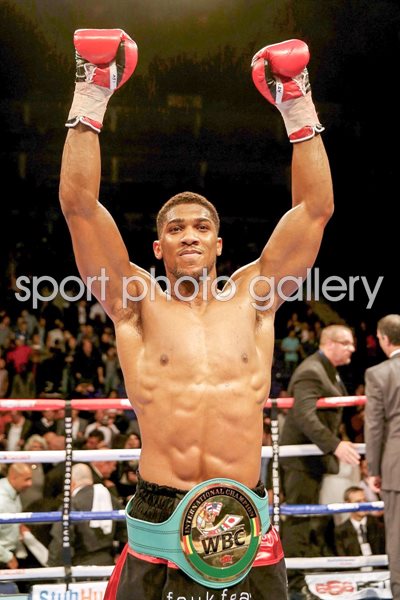 Anthony Joshua WBC International Heavyweight Champion 2014