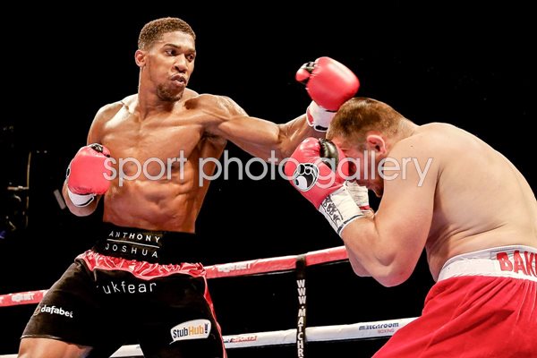 Anthony Joshua v Denis Bakhtov London 2014