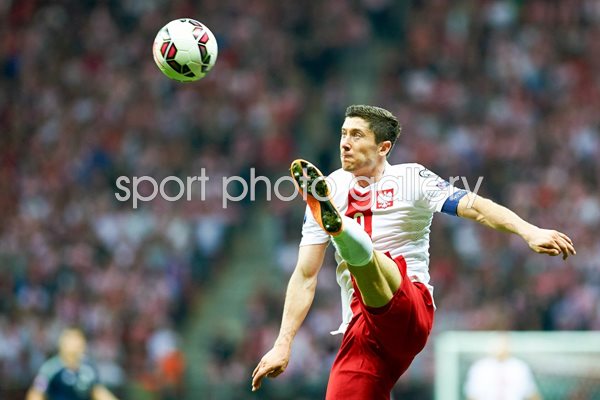 Robert Lewandowski Poland 2014