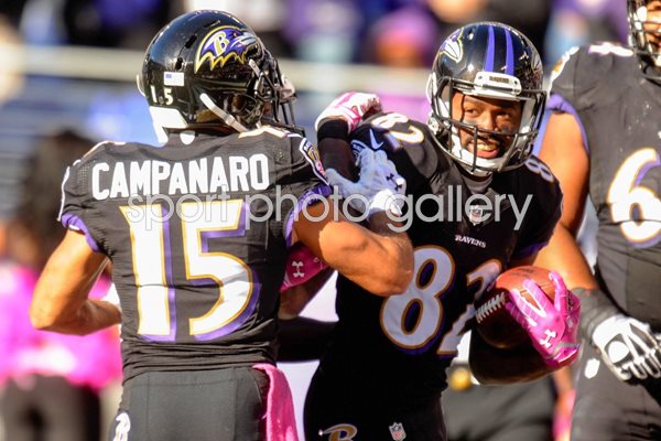 Falcons v Ravens - Torrey Smith 2014