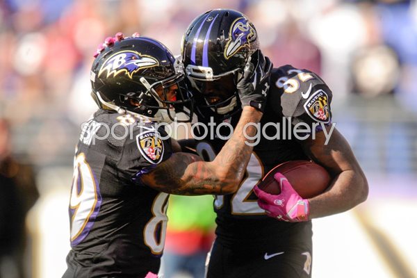 Falcons v Ravens - Torrey Smith 2014