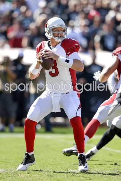Carson Palmer - Cardinals v Raiders 2014