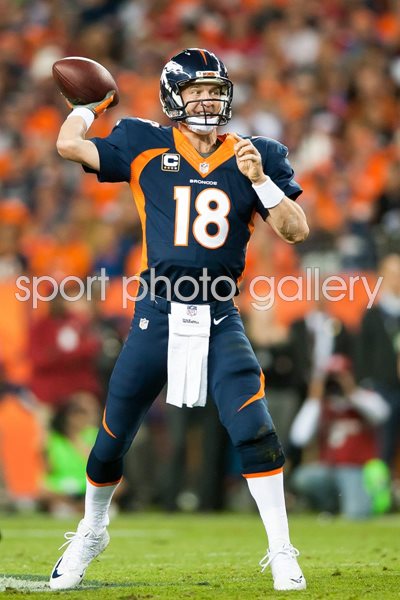 49ers v Peyton Manning Broncos 2014