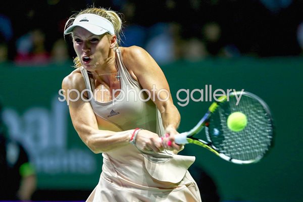 WTA Finals 2014 - Caroline Wozniacki Backhand