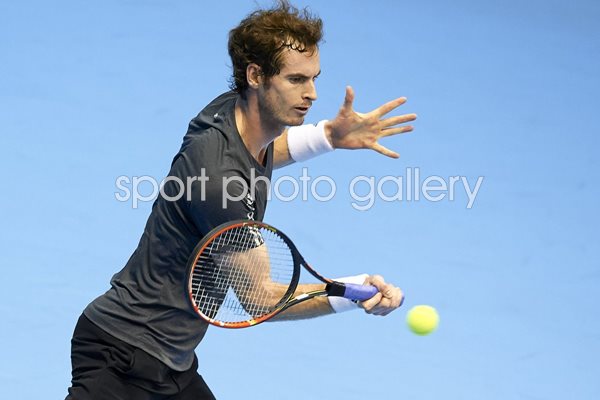 Valencia Open 500 - Andy Murray 2014