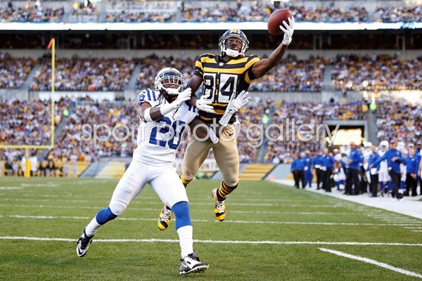 Antonio Brown #84 Pittsburgh Steelers touchdown catch