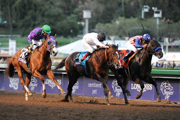 2014 Breeders' Cup Classic