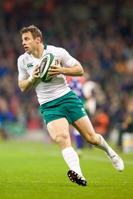 Tommy Bowe Ireland v South Africa Aviva Stadium