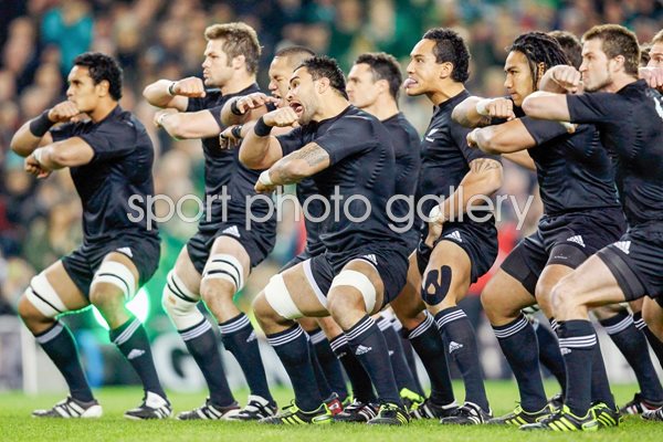 New Zealand Haka v Ireland, Dublin 2010
