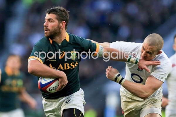 Willie Le Roux South Africa v England Twickenham 2014