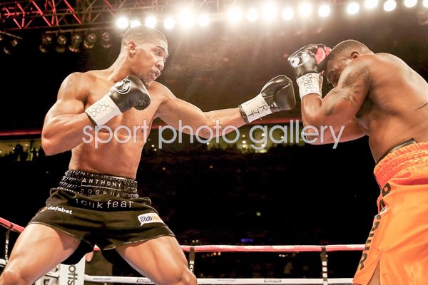 Anthony Joshua v Michael Sprot Echo Arena 2014