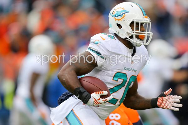 Lamar Miller Dolphins v Broncos 2014