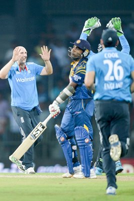 James Tredwell England v Sri Lanka Colombo 2014