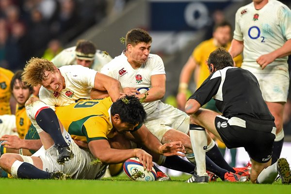 Will Skelton Australia v England Twickenham 2014