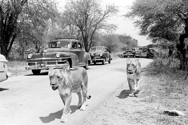 KRUGER BIG GAME RESERVE 1950