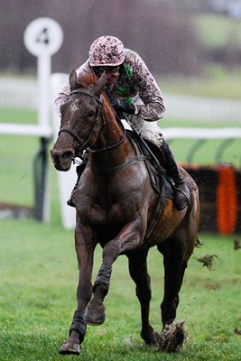 Annie Power & Ruby Walsh Cheltenham Races January 2014