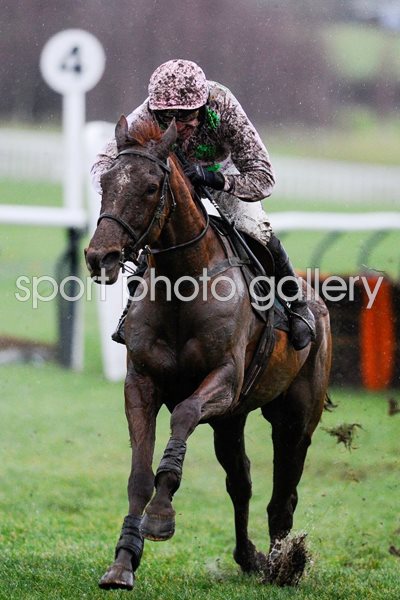 Annie Power & Ruby Walsh Cheltenham Races January 2014