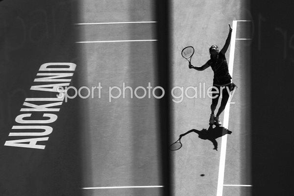 Jamie Hampton ASB Classic 2014