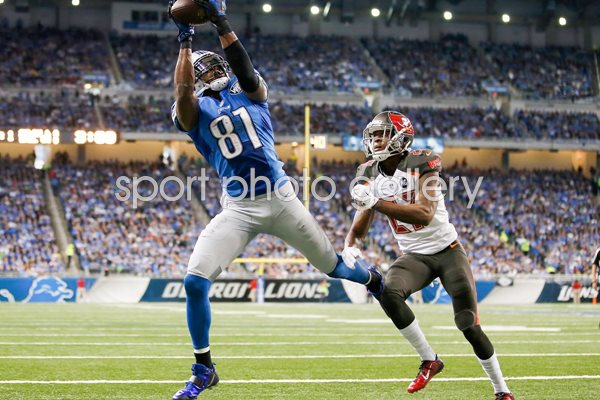 Calvin Johnson Lions v Buccaneers Ford Field 2014