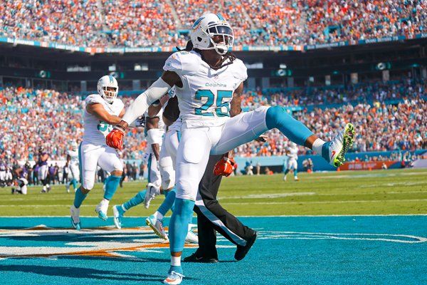 Louis Delmas Dolphins v Ravens Sun Life 2014