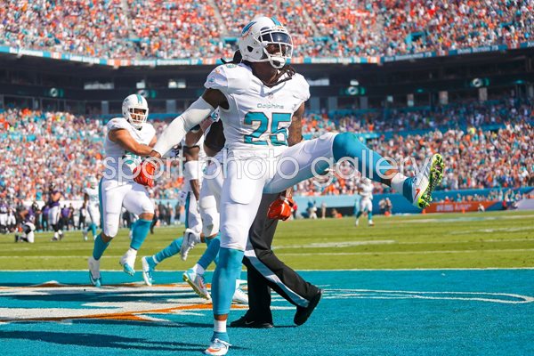 Louis Delmas Dolphins v Ravens Sun Life 2014