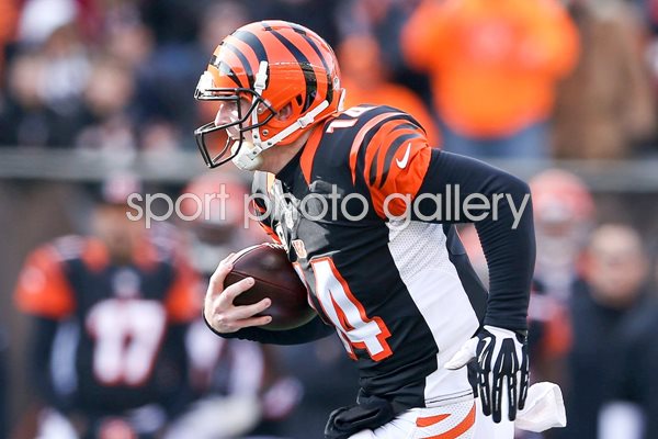 Andy Dalton Bengals v Steelers Paul Brown 2014
